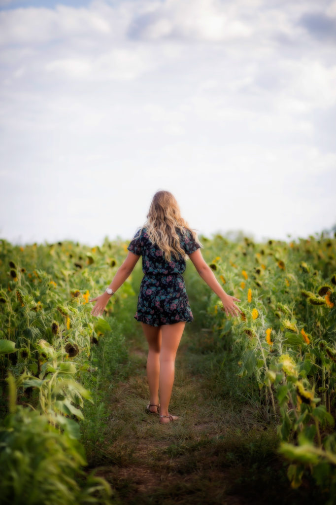 Girl in a jumper walking running her hands across Sunflowers