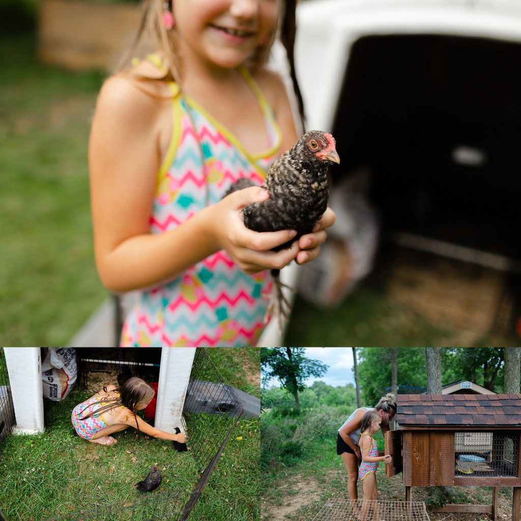 Six year old girl holding a baby chick outside their pin.  Bottom left the same girl attempts to pick up a baby chick and on the right she stands outside the chicken house with her mom.
