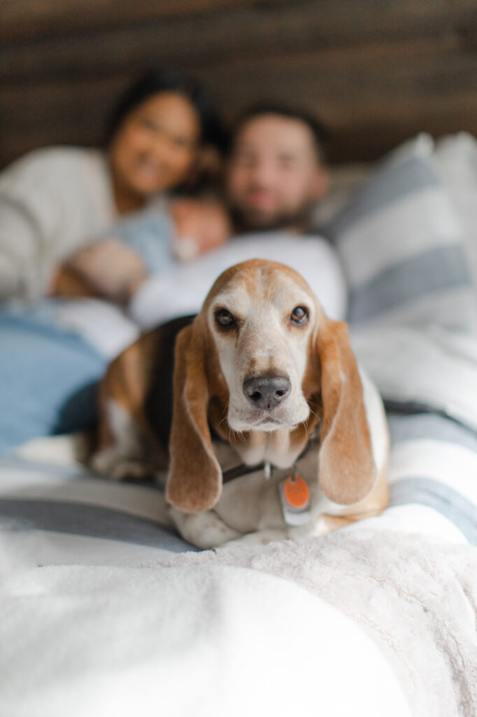 Pet friendly family photography | Four Souls Photography
